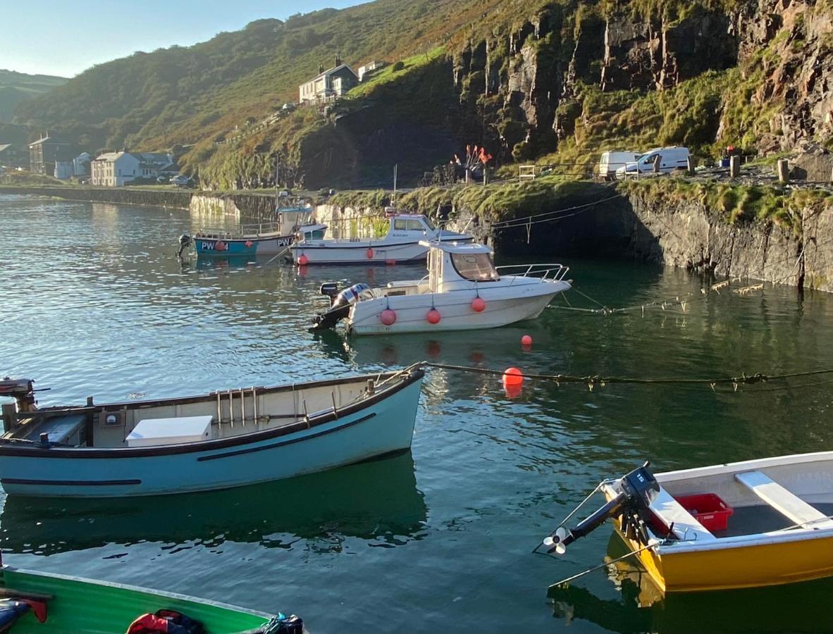 Polrunny Farm Sloe Cottage With A Sea View Boscastle Bagian luar foto