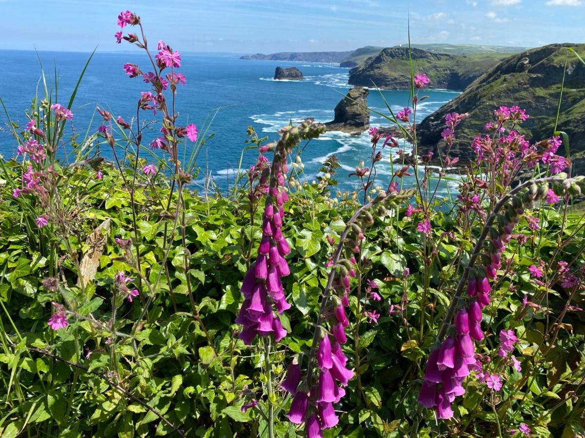 Polrunny Farm Sloe Cottage With A Sea View Boscastle Bagian luar foto