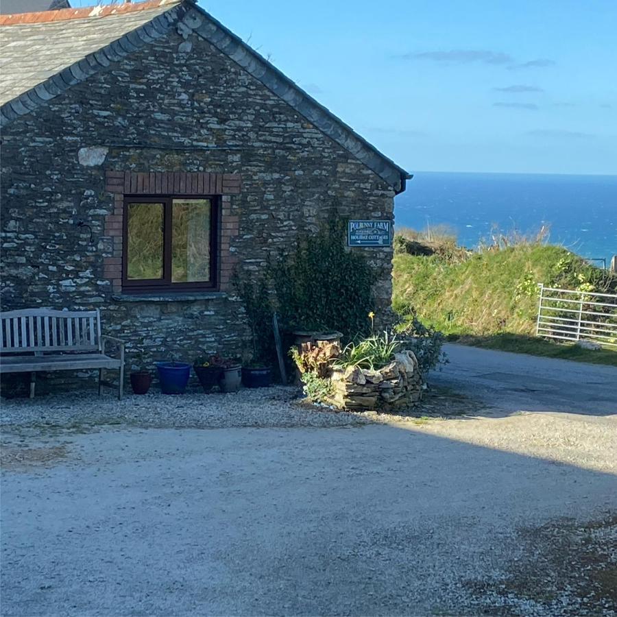 Polrunny Farm Sloe Cottage With A Sea View Boscastle Bagian luar foto